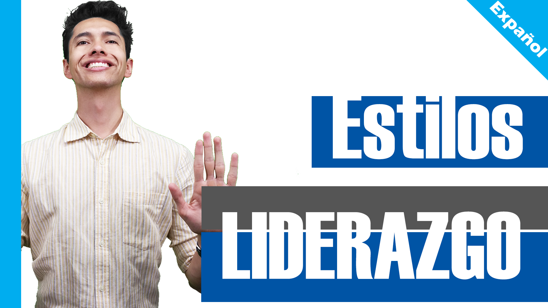 Estilos de Liderazgo - Lider Cortes